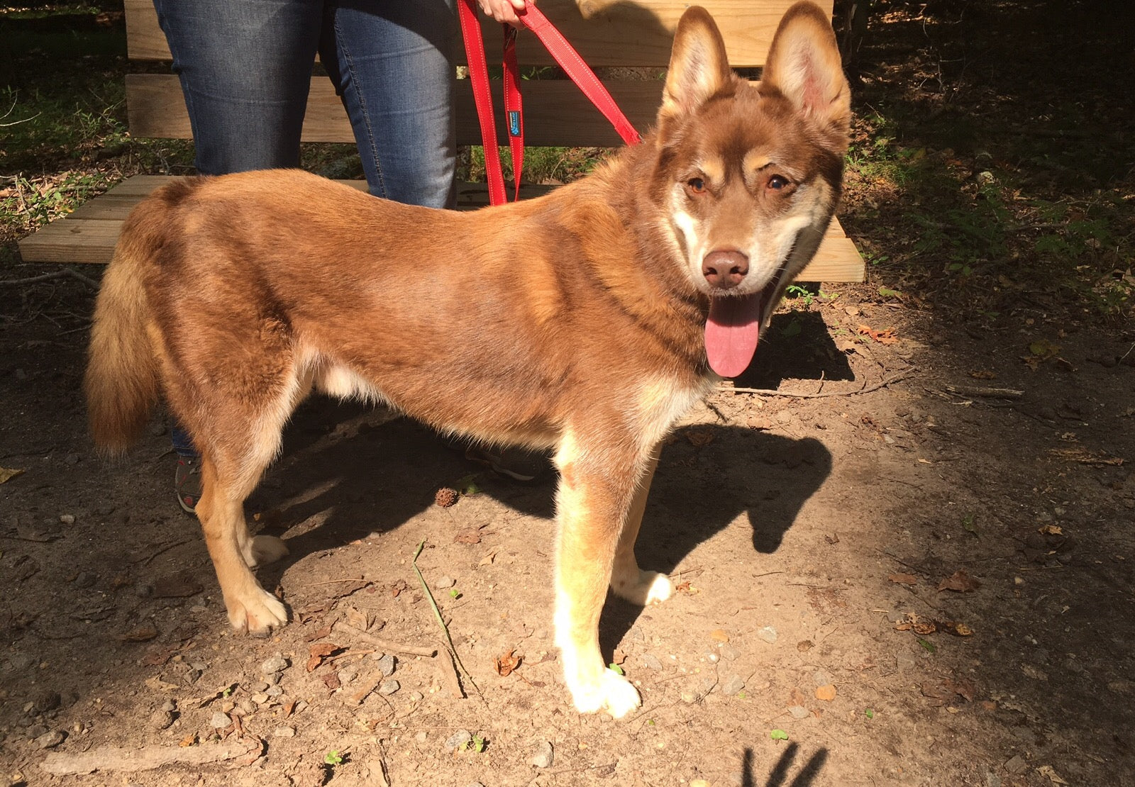 Elvis Visits Caledon State Park