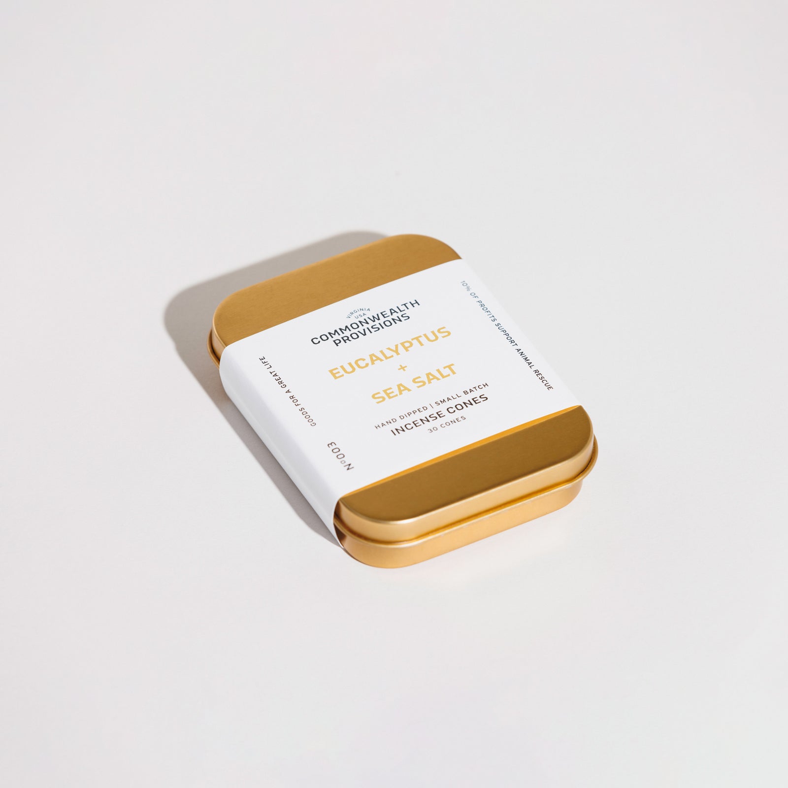 Eucalyptus + Sea Salt Incense Cones | Commonwealth Provisions