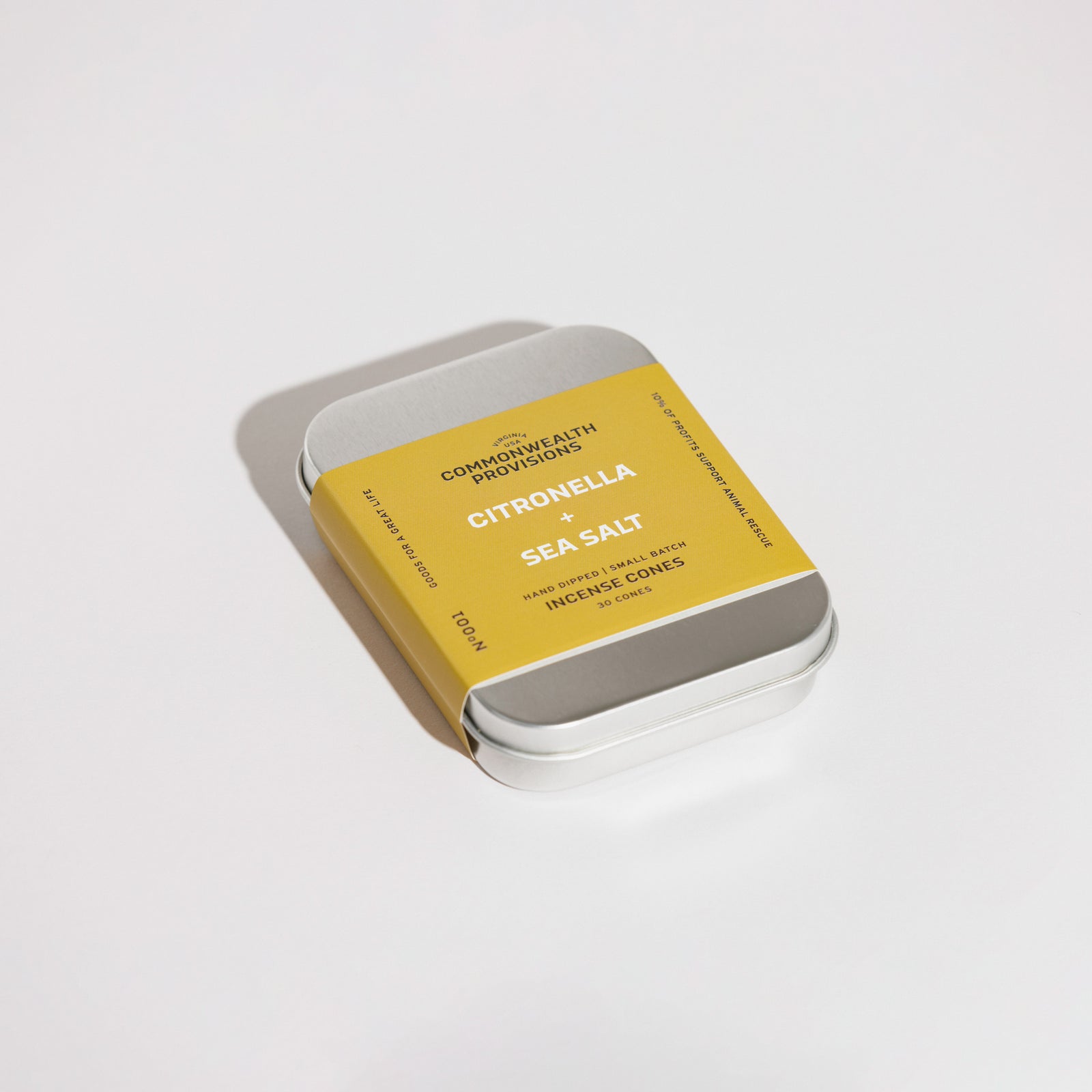 Citronella + Sea Salt Incense Cones | Commonwealth Provisions